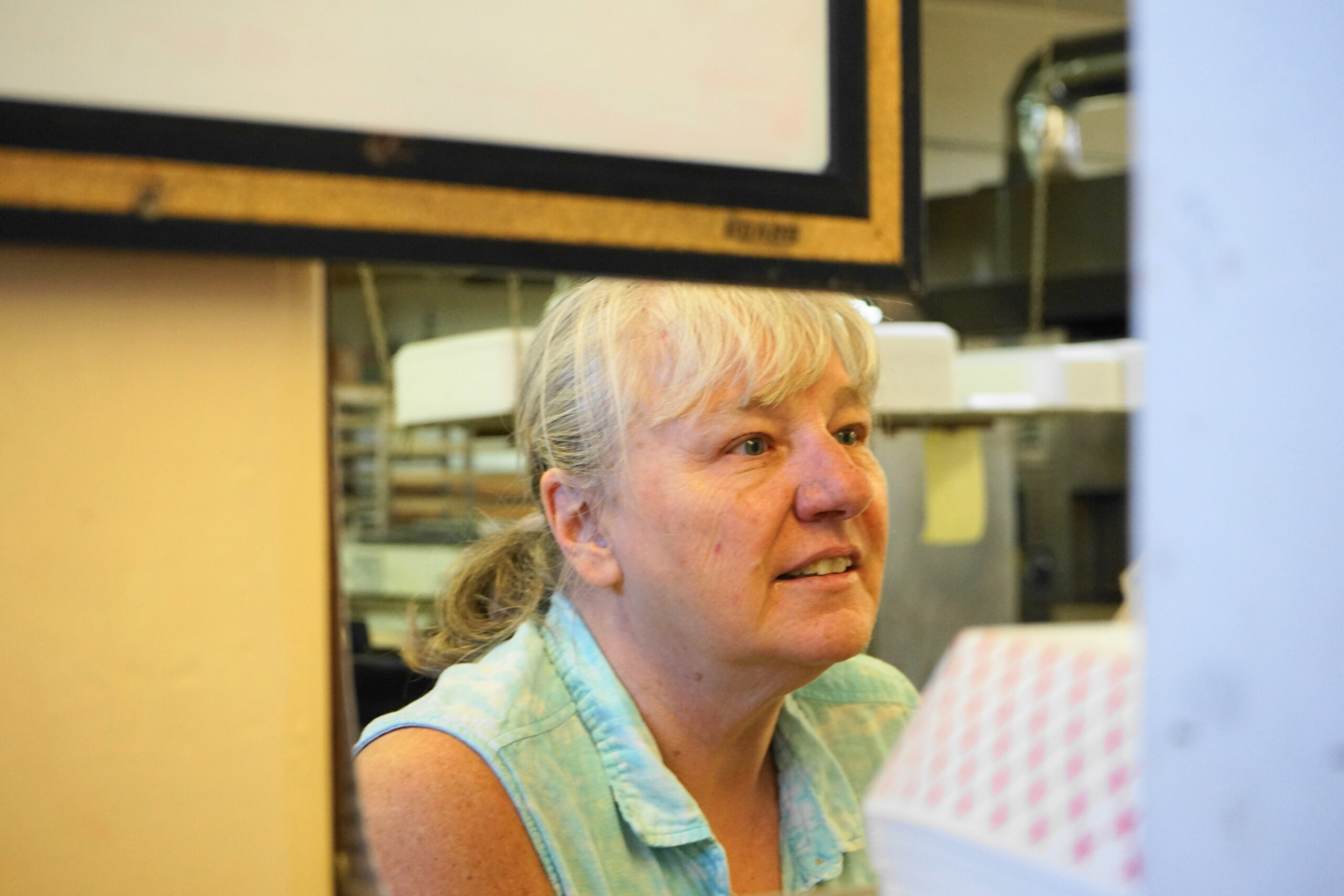 HIDDEN GEMS, WYOMING'S BEST EATS Bread Basket Bakery, Where Sweet and